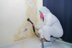 Best Water Damage & Mold Remediation  in Mountain Home, NC